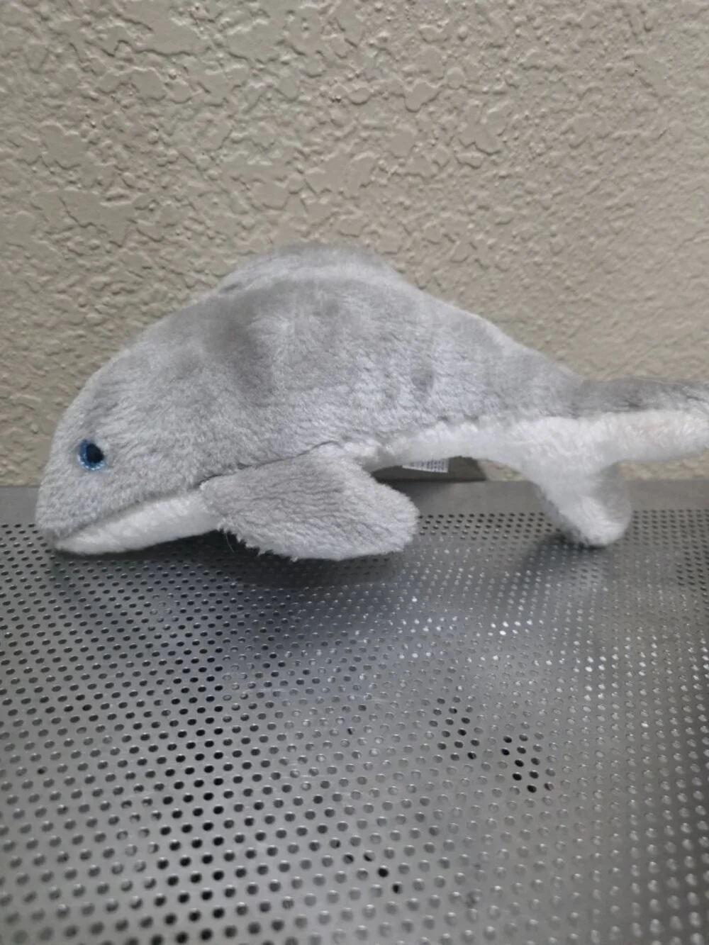Sea World Dolphin, 9